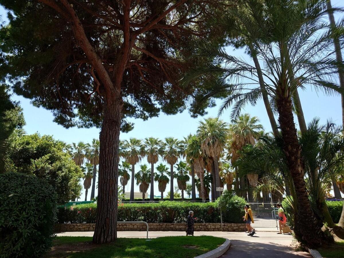 Apartamento Sunrise & Sunset Palm Croisette